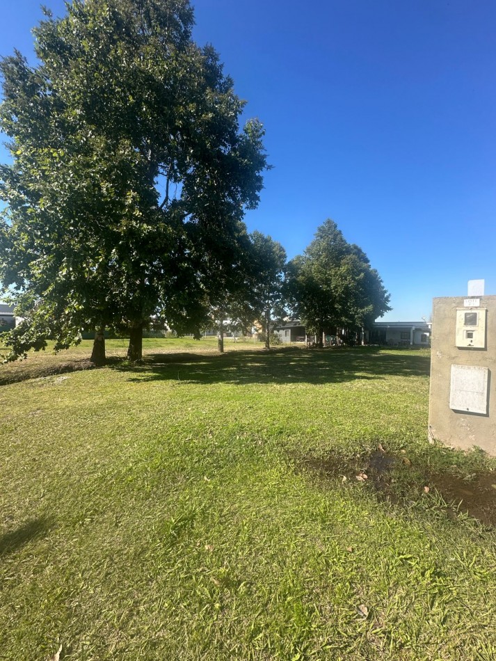 TERRENO LABRADORES 1 