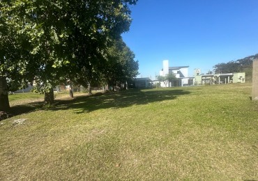 TERRENO LABRADORES 1 